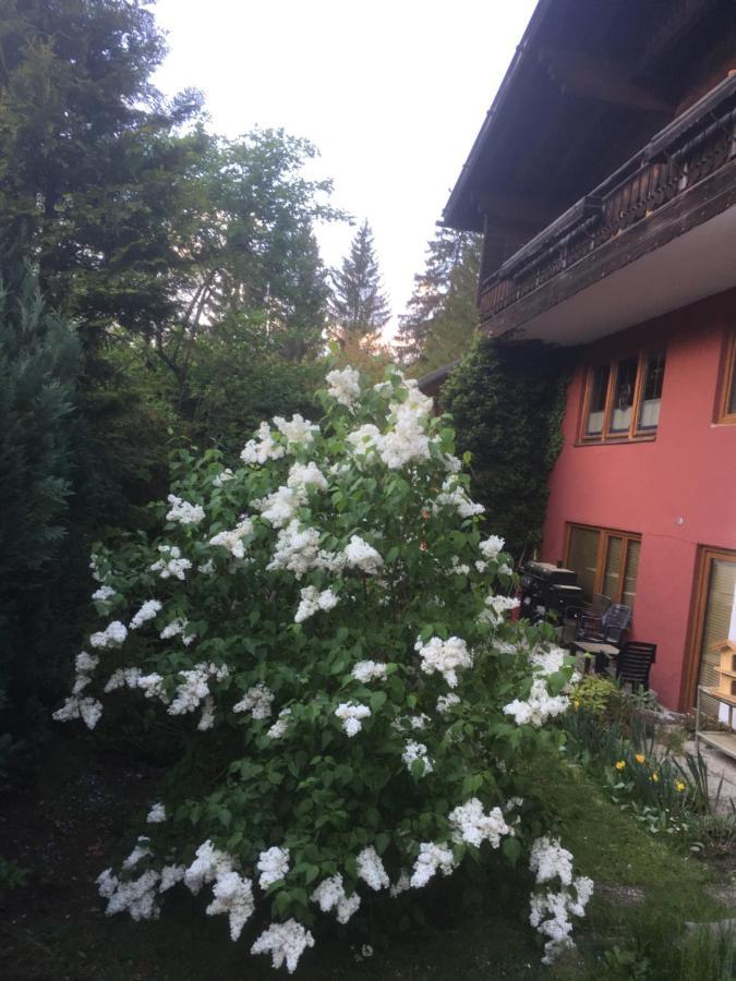 Ferienhaus Wieswald Ehrwald Exterior foto